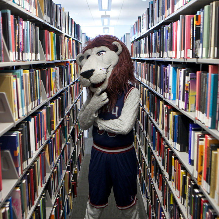 Iggy Lion thinking in the book stacks.