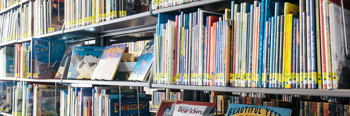 Curriculum Materials Collection books on shelves