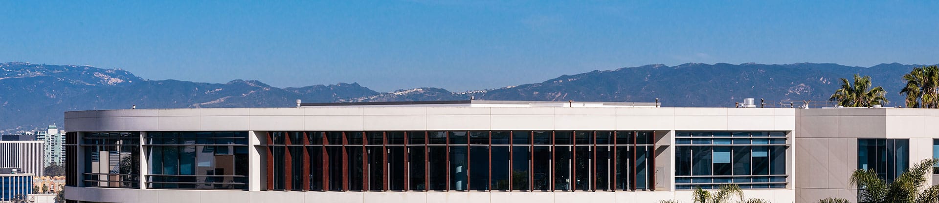 An aerial view of the William H. Hannon Library with downtown Los Angeles in the distance